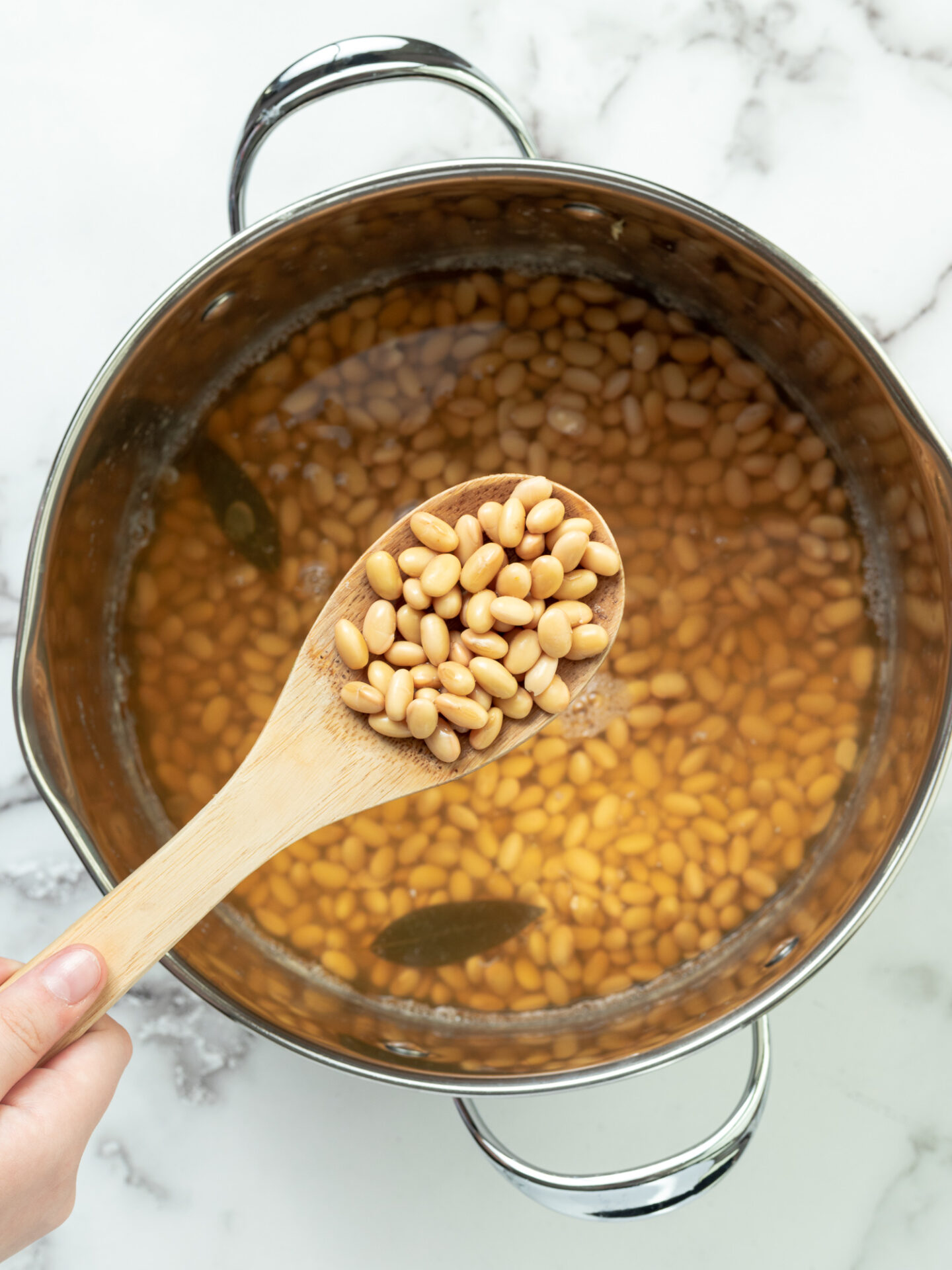 HOW TO COOK SOYBEANS (DRY BEANS) - Simple Veganizer